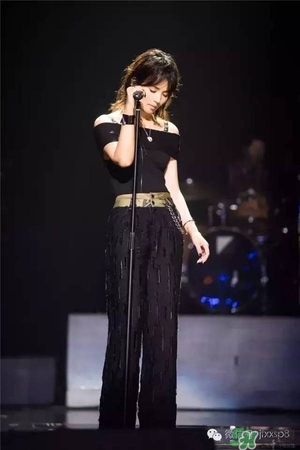 2017������ʲô������2017�������е�����